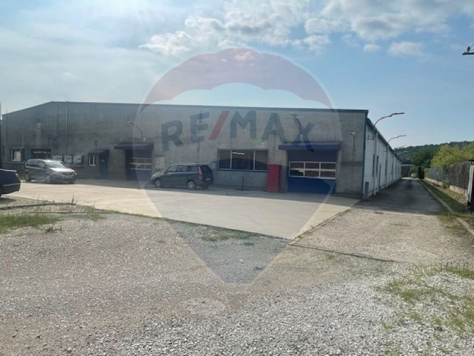 Hala de Inchiriat | Calea Baciului | Cluj-Napoca