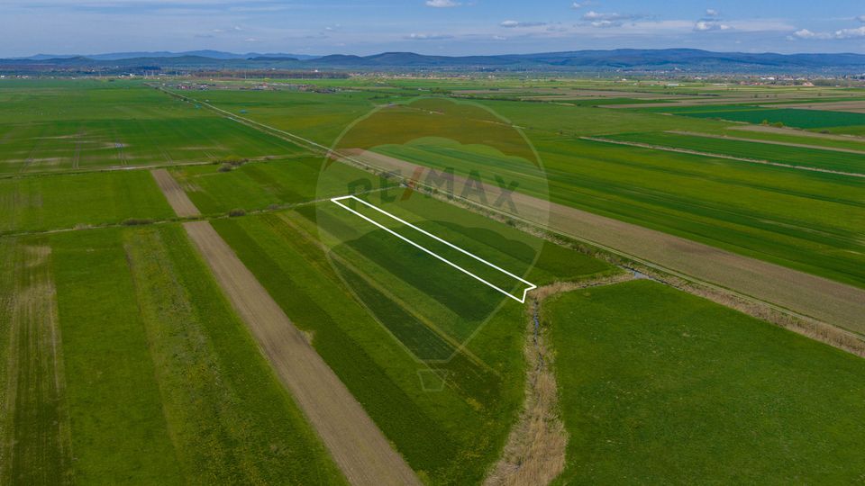Land 4,000sqm Stupinii Prejmerului / Strada FN