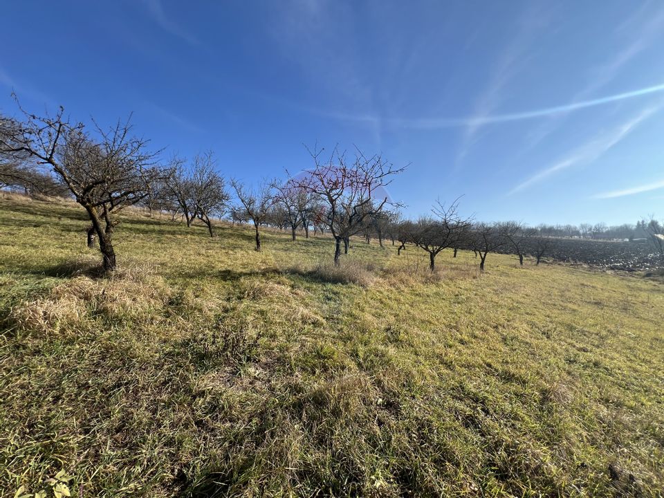 Teren intravilan, Bădeni, parcelabil