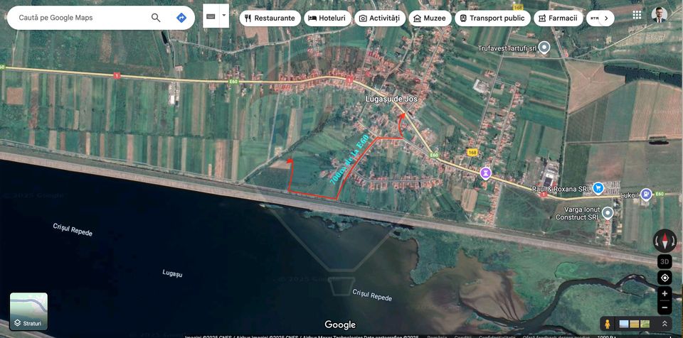 Land 6,000sqm Lugasu de Jos / Strada principala