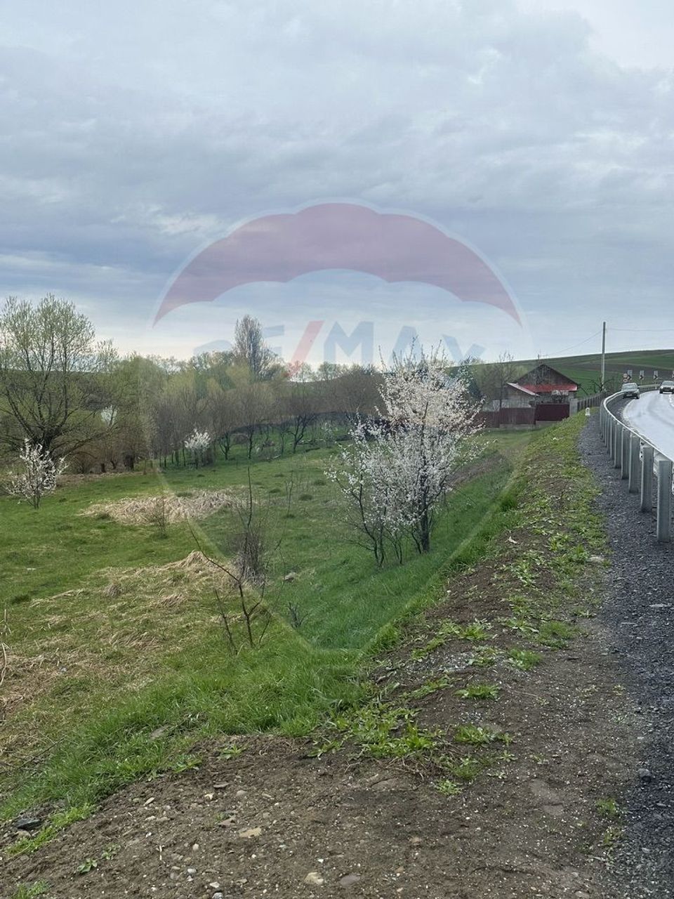 Teren 2,700mp Scheia / DJ 209C