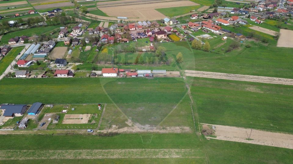 Teren de vânzare intravilan Cătălina