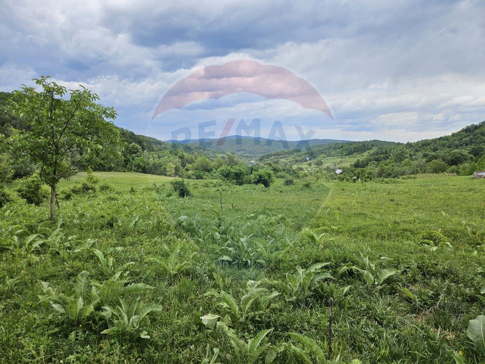 Teren 11,935 mp de vânzare, Podiș / Strada Dubas