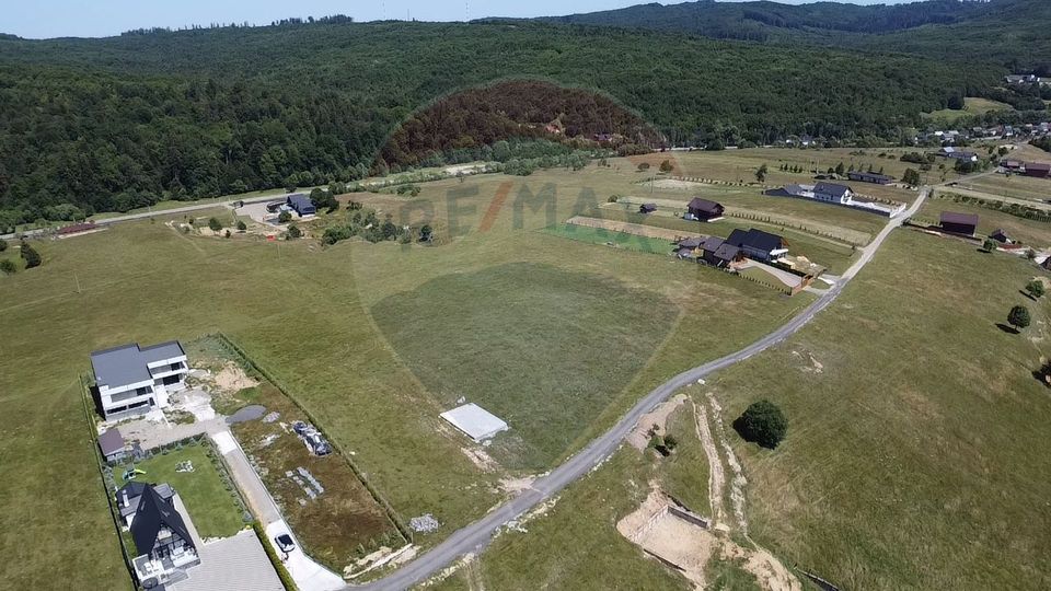 Land 3,757sqm Paltinoasa / Strada principala