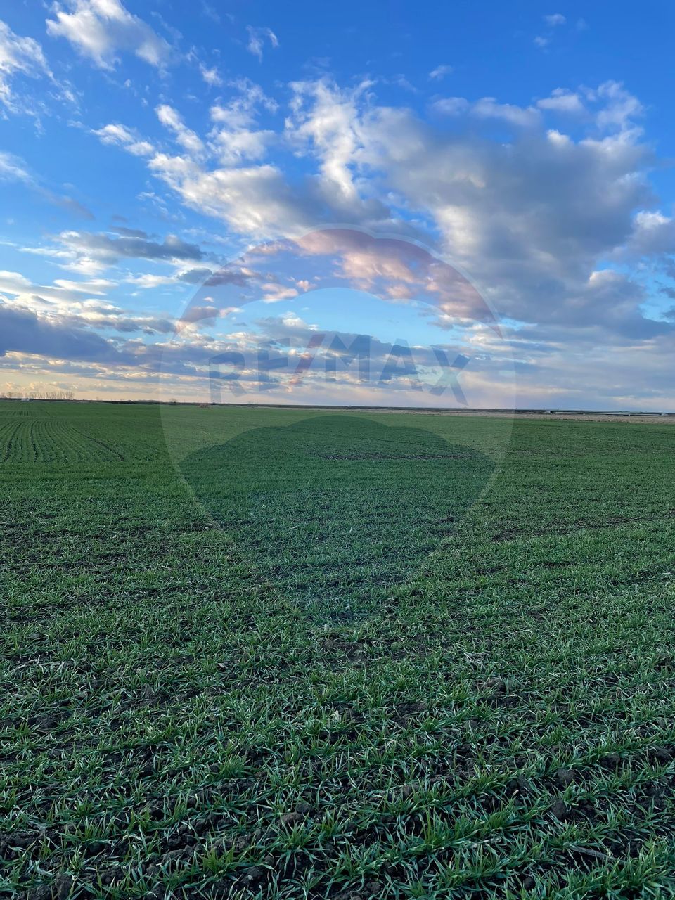 Land 10,800sqm Gruiu / None