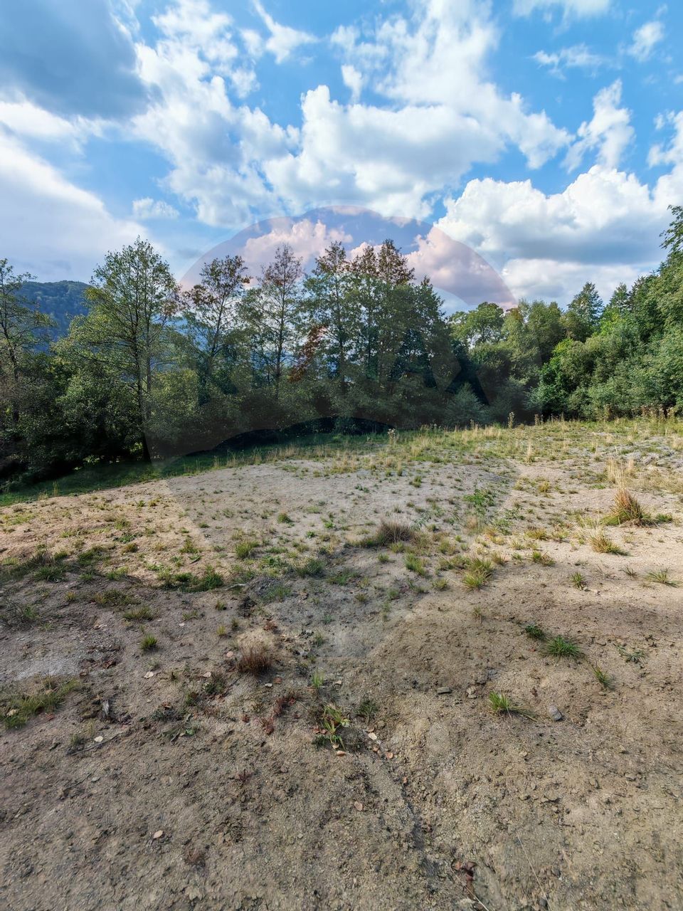 Land 5,174sqm Bran / Strada Colibasilor