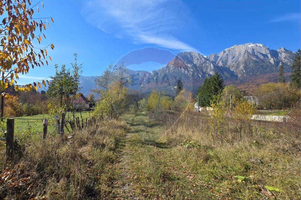 Teren intravilan cu vedere spectaculoasă spre Crucea Caraiman