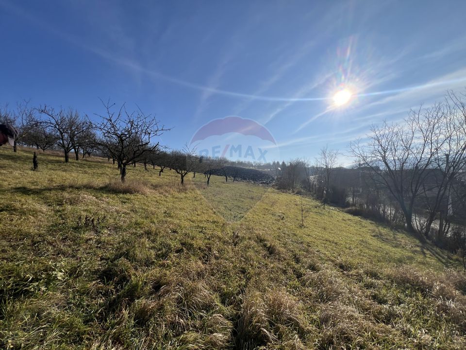 Land 10,000sqm Badeni / Strada Mică