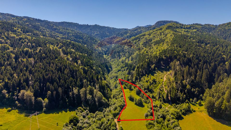 Land 13,300sqm Sacele / Soseaua Valea Doftanei