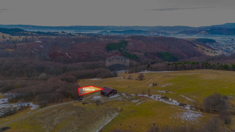 Teren 1,185 mp Teliu / Extravilan