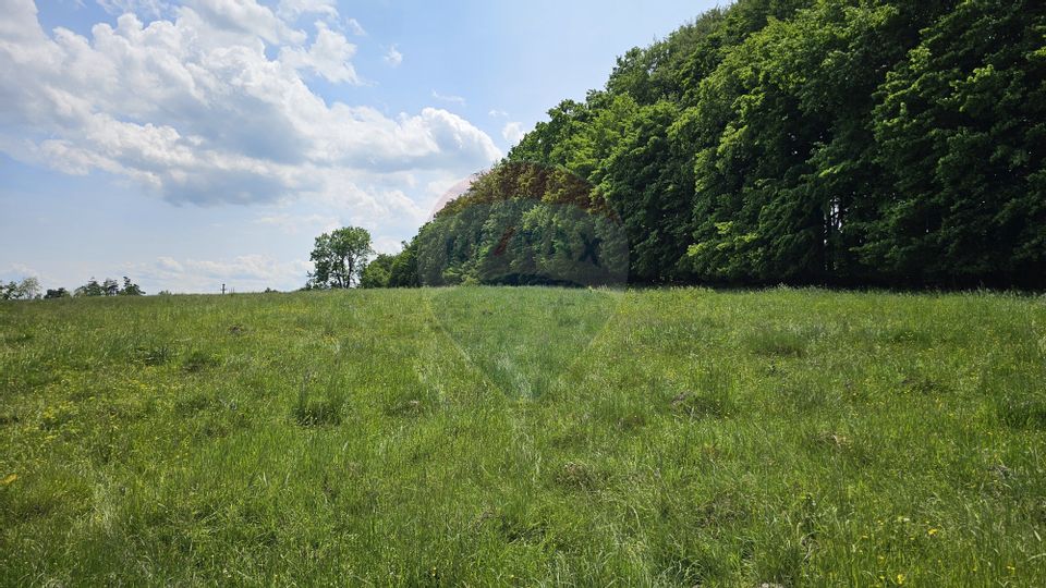 Teren Ilisesti  7000mp extravilan/ DN 17, Suceava