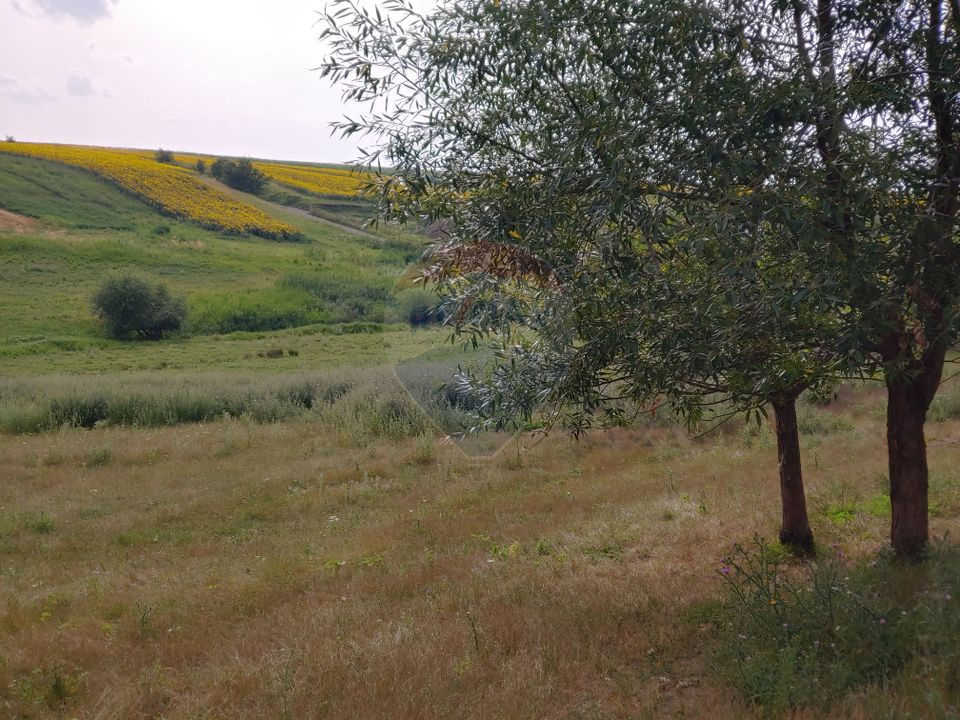 Teren parțial intravilan-300000mp Stroiești-Trei Movile, Suceava