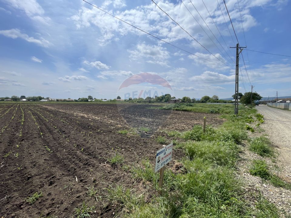 Land 2,086sqm Tifesti / Strada Secundara