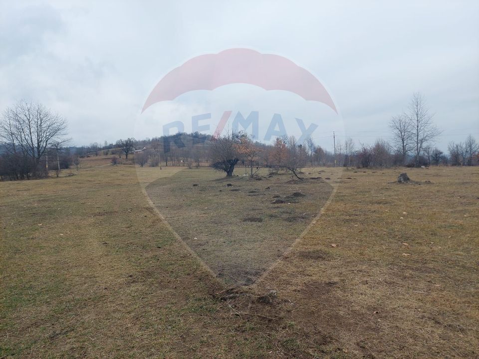 Land 11,400sqm Comanesti / Prelungirea Punct podina