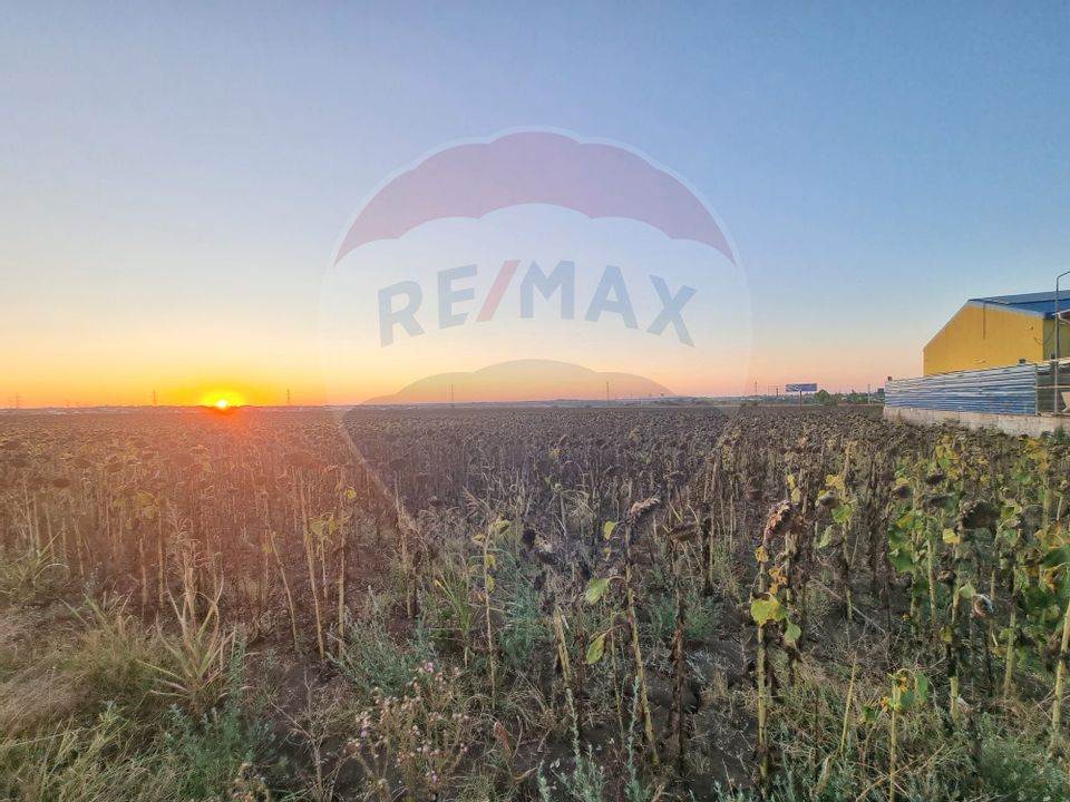 Teren 10,000mp Mangalia-Limanu / Drumul 391