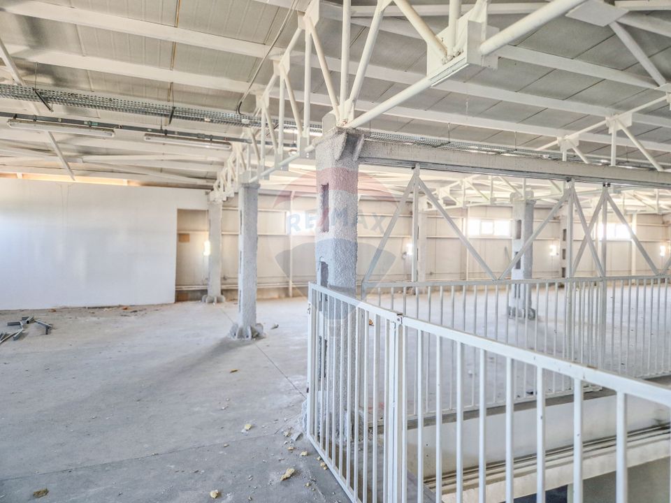 Hala beton P+E 1000 mp comercial, productie, depozitare Pipera Plaza