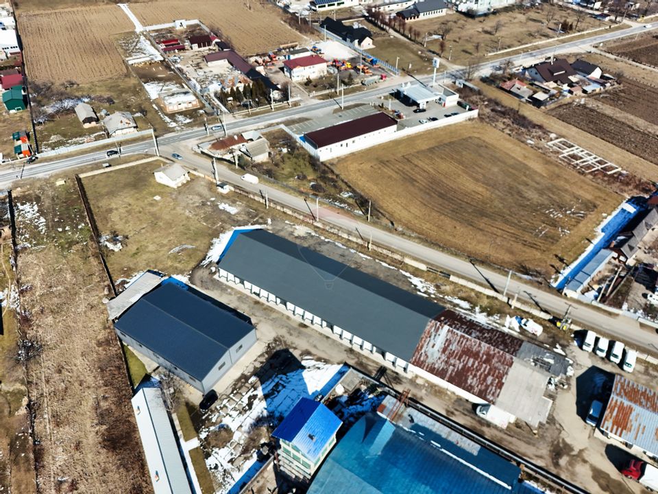 Hale industriale de închiriat în Tg Neamț