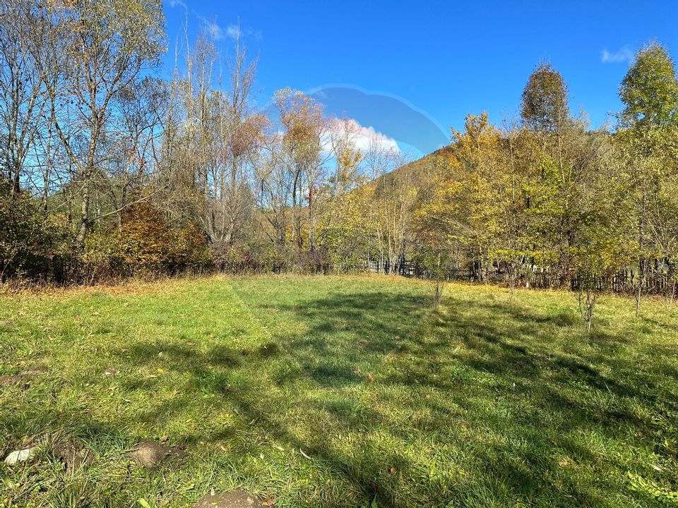 Land 1,350sqm Garcina / Strada Cuejdiului