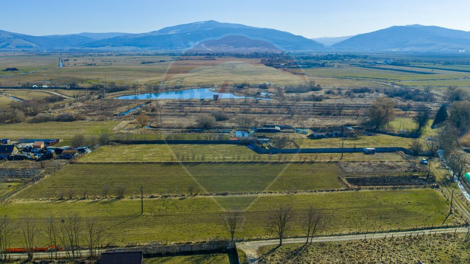 Teren Intravilan 5.000 mp Prejmer -  Strada Preot Ioan Popescu