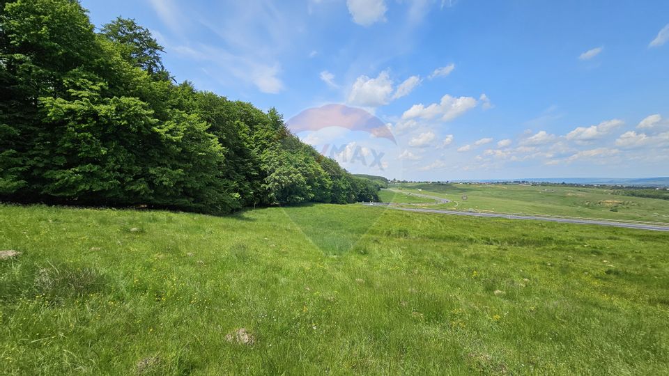 Teren Ilisesti  7000mp extravilan/ DN 17, Suceava