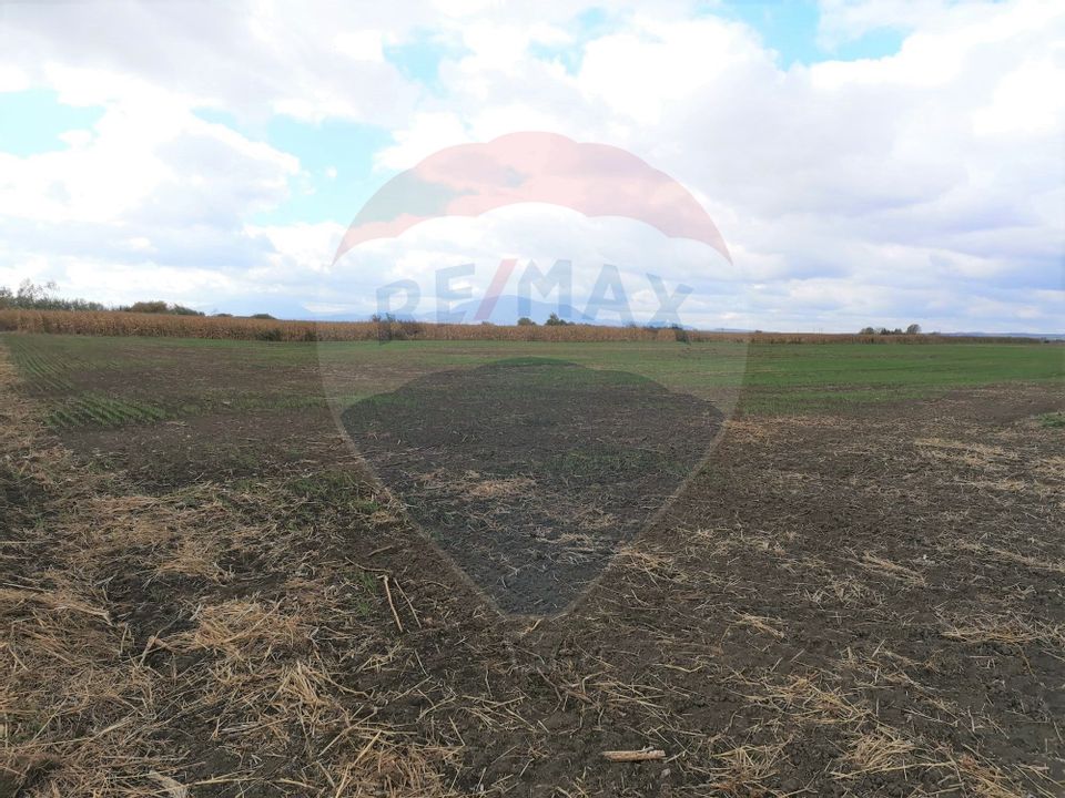 Land 15,000sqm Halchiu / DN 13