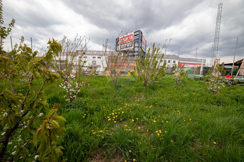 21 room Hotel / Pension for sale, Calea Romanului area