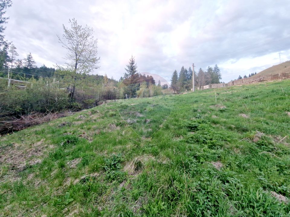 Land 941sqm Hangu / DN ruginesti