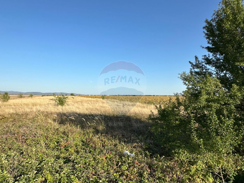 Teren extravilan de vânzare – 19.963 mp, E68 Mândruloc–Vladimirescu