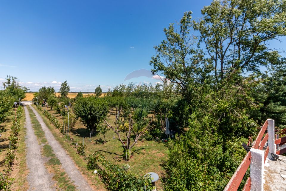 Casa+Laborator+ Teren 12.700 mp + casa de vacanta - Bolintin Vale