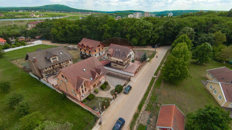 De Vânzare  Pensiunea Laura – 3 Margarete, Sânmartin, Băile Felix