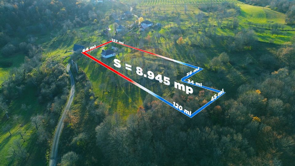 De vanzare casa traditionala, teren mare si potential turistic ridicat