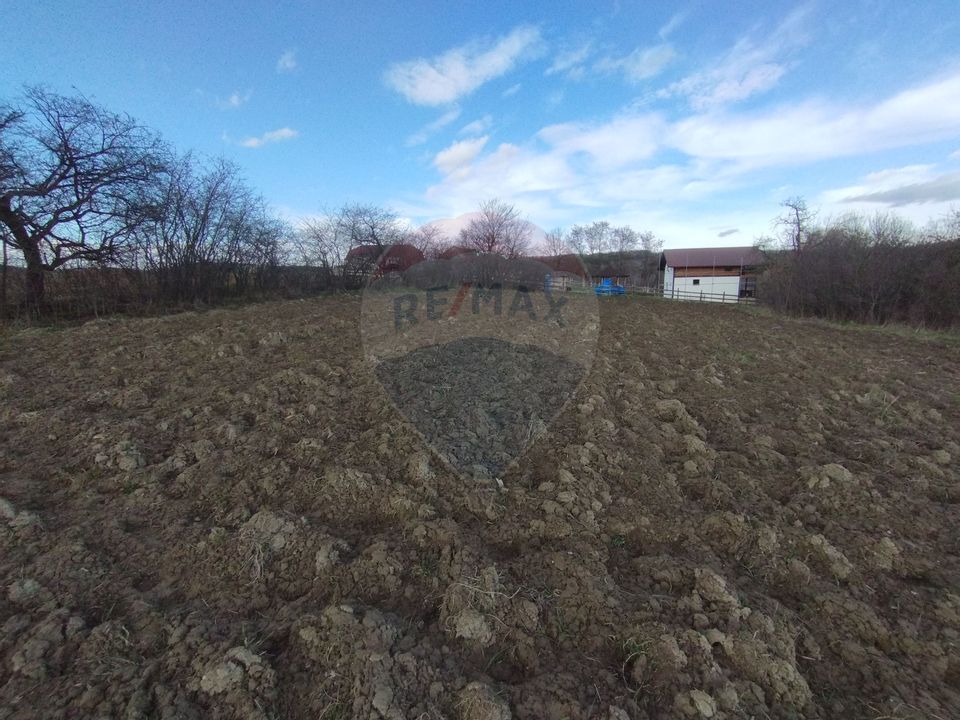 Teren Bodesti / Strada OSLOBENI LANGA MANASTIREA DUMBRAVELE