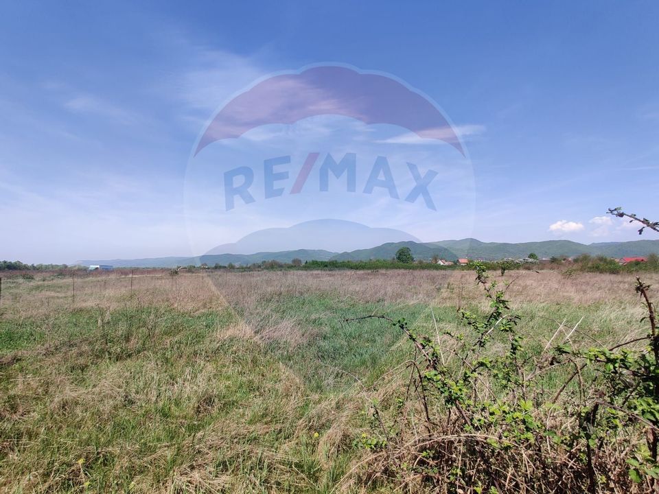 Land 1,500sqm Merisor / Strada 133