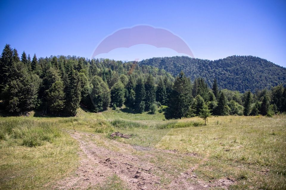 Teren intravilan, 6000mp Dambovicioara / DN 73- dealul sasului!