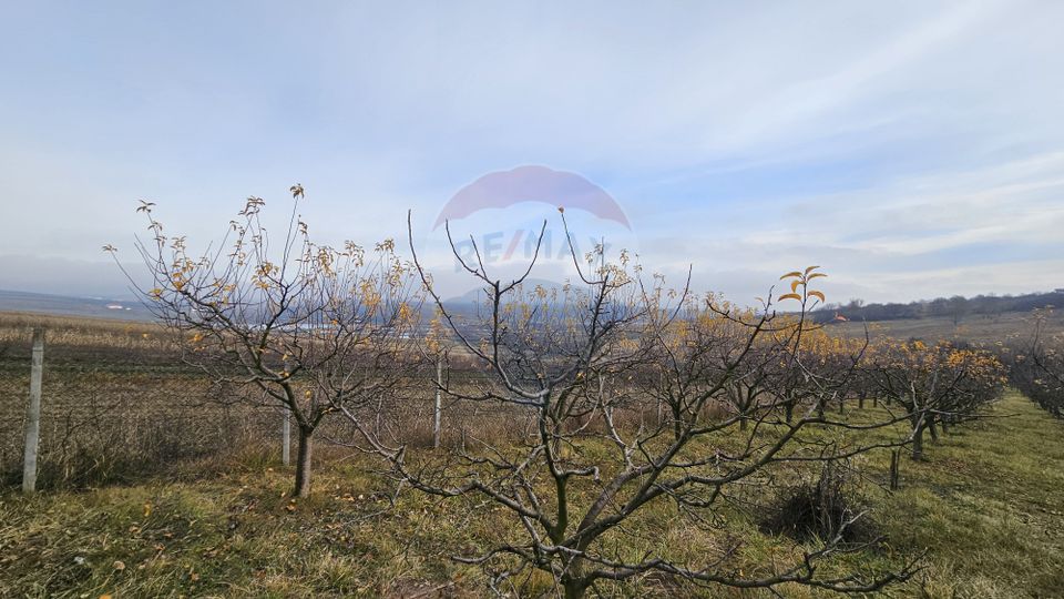 Teren extravilan 10,791mp Falticeni / Strada DJ209A, Opriseni