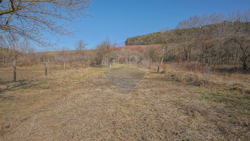 5 room House / Villa for sale