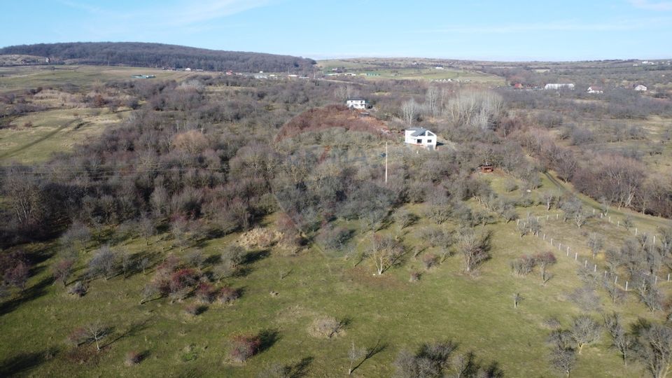 Teren 20.146 mp Dâmbu Rotund (Lomb).Extravilan.Potențial rezidențial