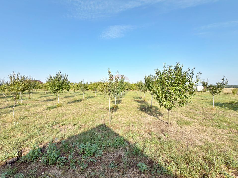 Casă cu 2 camere de vânzare loc. Frumușeni, jud. Arad