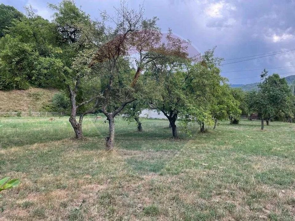 Teren INTRAVILAN 8,237mp Sinca Noua / Strada principala