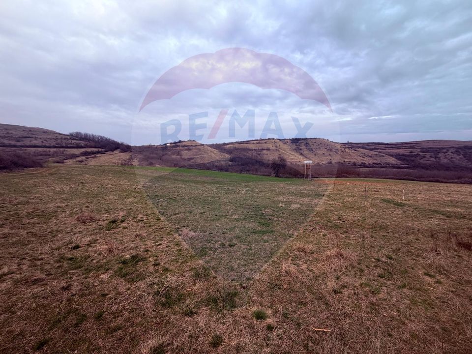 Land 3,400sqm Criseni / Strada principala