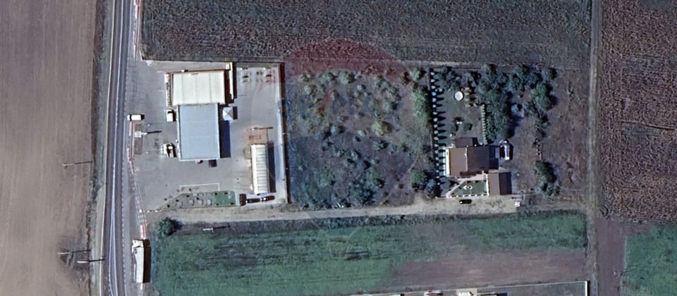 Land 1,000sqm Prejmer / Strada Str. Brașovului 162H, Prejmer 710380