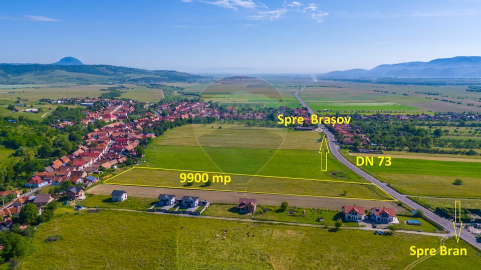 Land 9,900sqm Tohanu Nou / Strada Branului