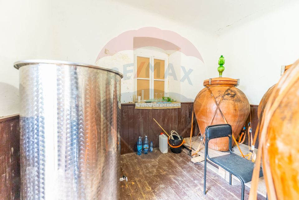 Conac aristocratic secolul XIX , domeniu  2,5 hectare — Păuliș, Arad