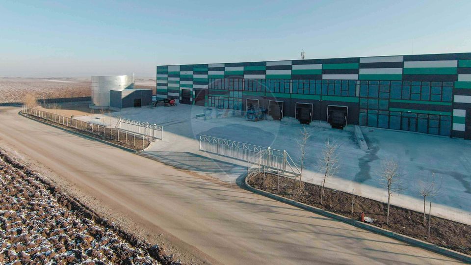 Hală de vânzare, Sc 7014mp, Zona Biharia