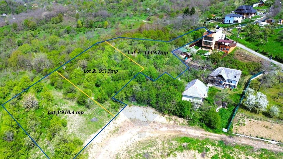 Land 951sqm Baia Mare / Strada Miron Costin