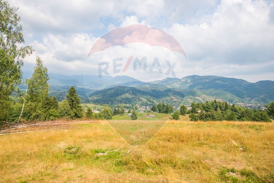 Teren extravilan Moieciu 45316mp