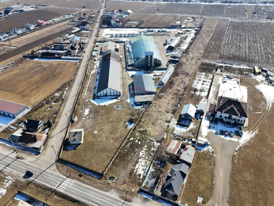 Hale industriale de închiriat în Tg Neamț