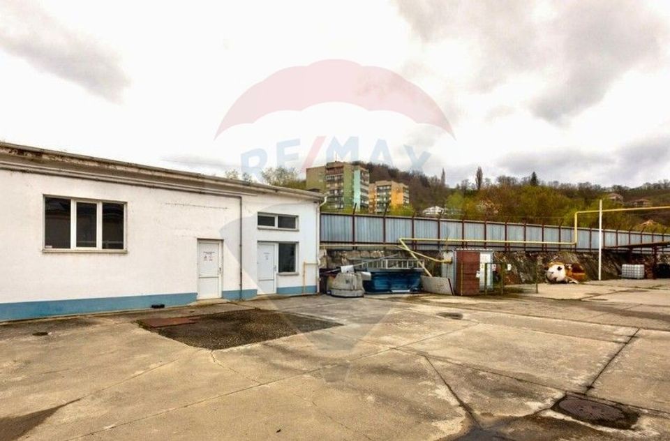 Fabrica de preparate si conserve din carne  la Medias