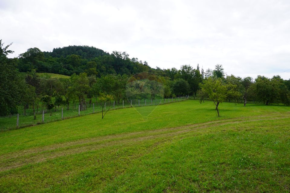 Land 3,300sqm Valeni / Drumul Principal