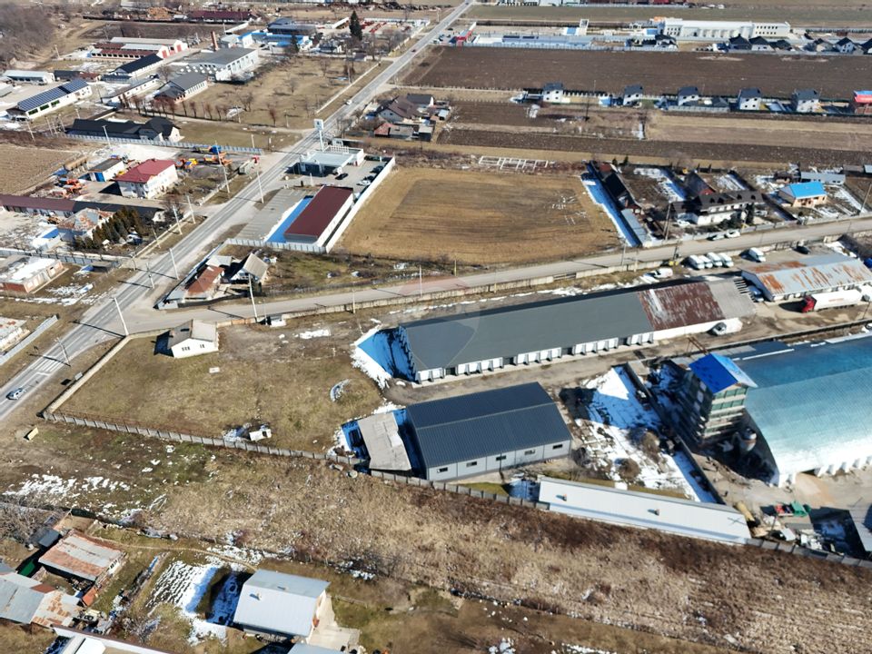 Hale industriale de închiriat în Tg Neamț